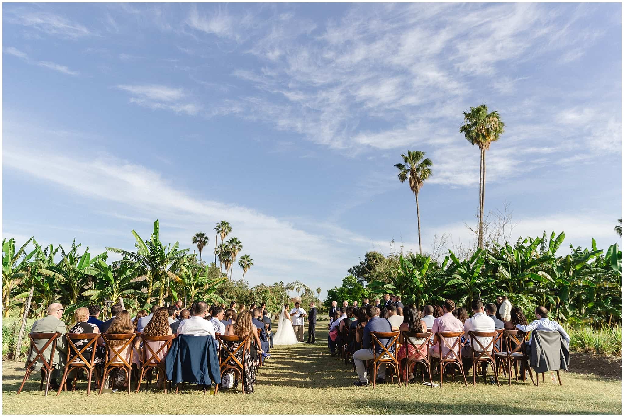 ?pp route=%2Fimage resize&path=%3D%3DwZwpmLx0yNwADMfRjMtATMtcTMwIzL0N3bw1SMxEDNtQjMvATMvcTMwIjf&width=768 - Cabo Farm Wedding - Perla & Jared