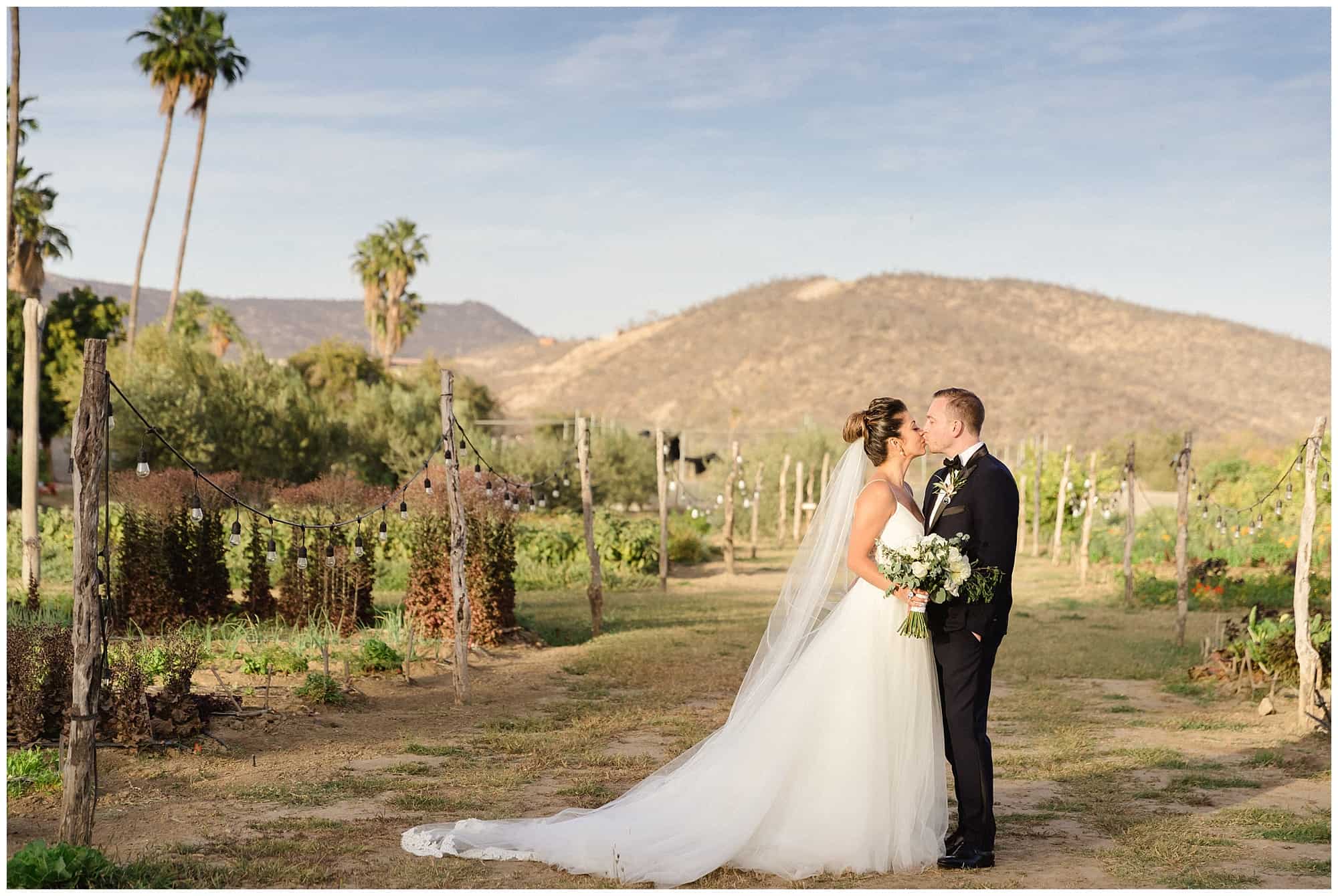 ?pp route=%2Fimage resize&path=%3DcGcq5CMyADMfRjMtATMtcTMwIzL0N3bw1SMxEDNtQjMvATMvcTMwIjf&width=768 - Cabo Farm Wedding - Perla & Jared