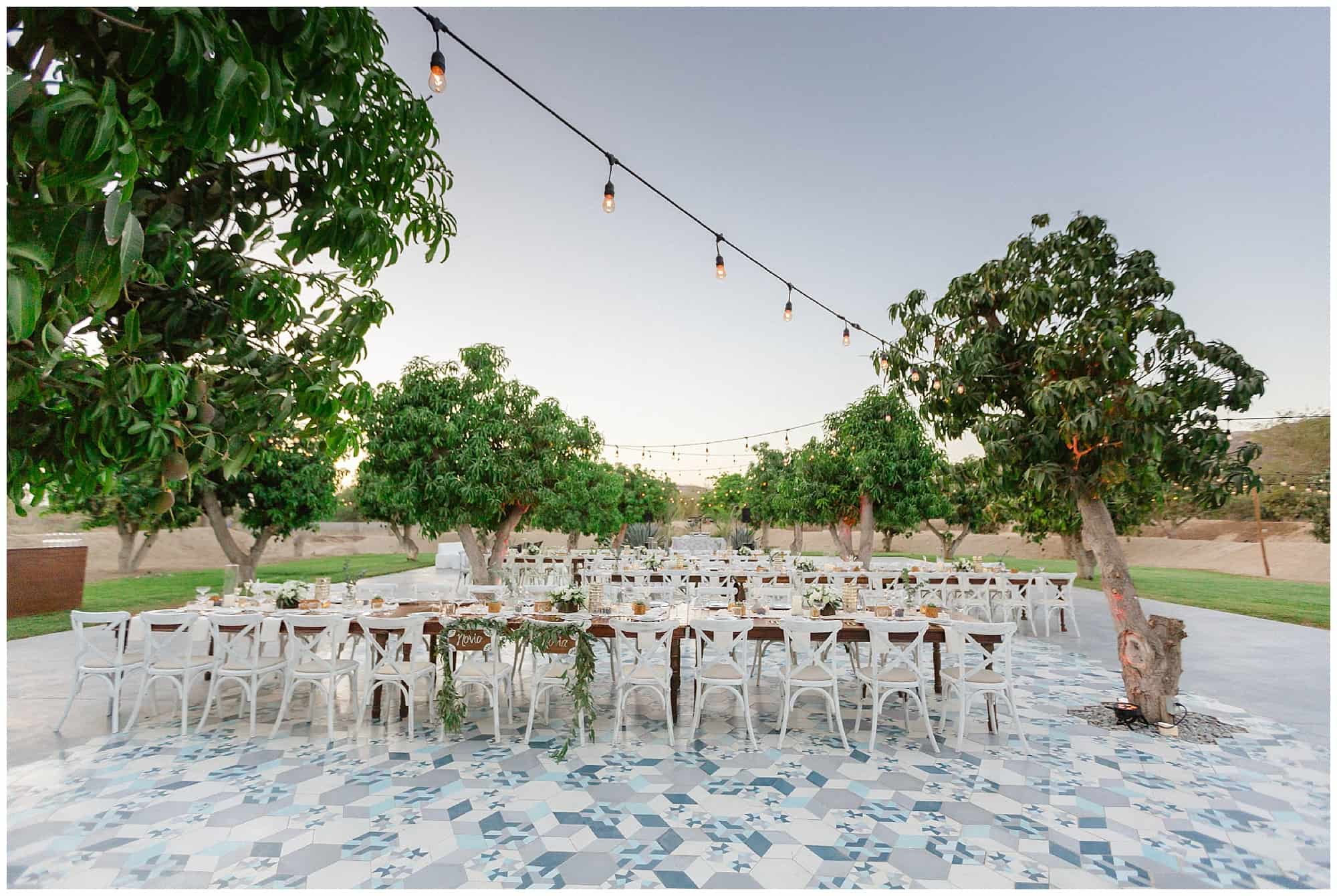 ?pp route=%2Fimage resize&path=%3DcGcq5CMzADMfBzMtATMtcTMwIzL0N3bw1CNwIDNtAzMvATMvcTMwIjf&width=768 - Cabo Farm wedding - Alice and Peter