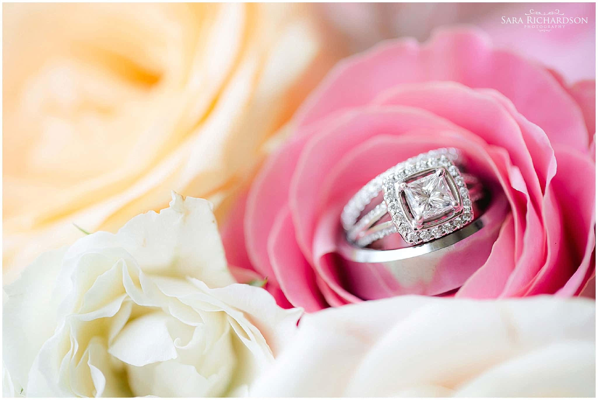 ?pp route=%2Fimage resize&path=%3DcGcq5CN3ADMfdjMtIDMtUTMwIzL0N3bw1SO3IzMtgjMvIDMvUTMwIjf&width=768 - Cabo Wedding - Cabo Del Sol - Gina & Darryl