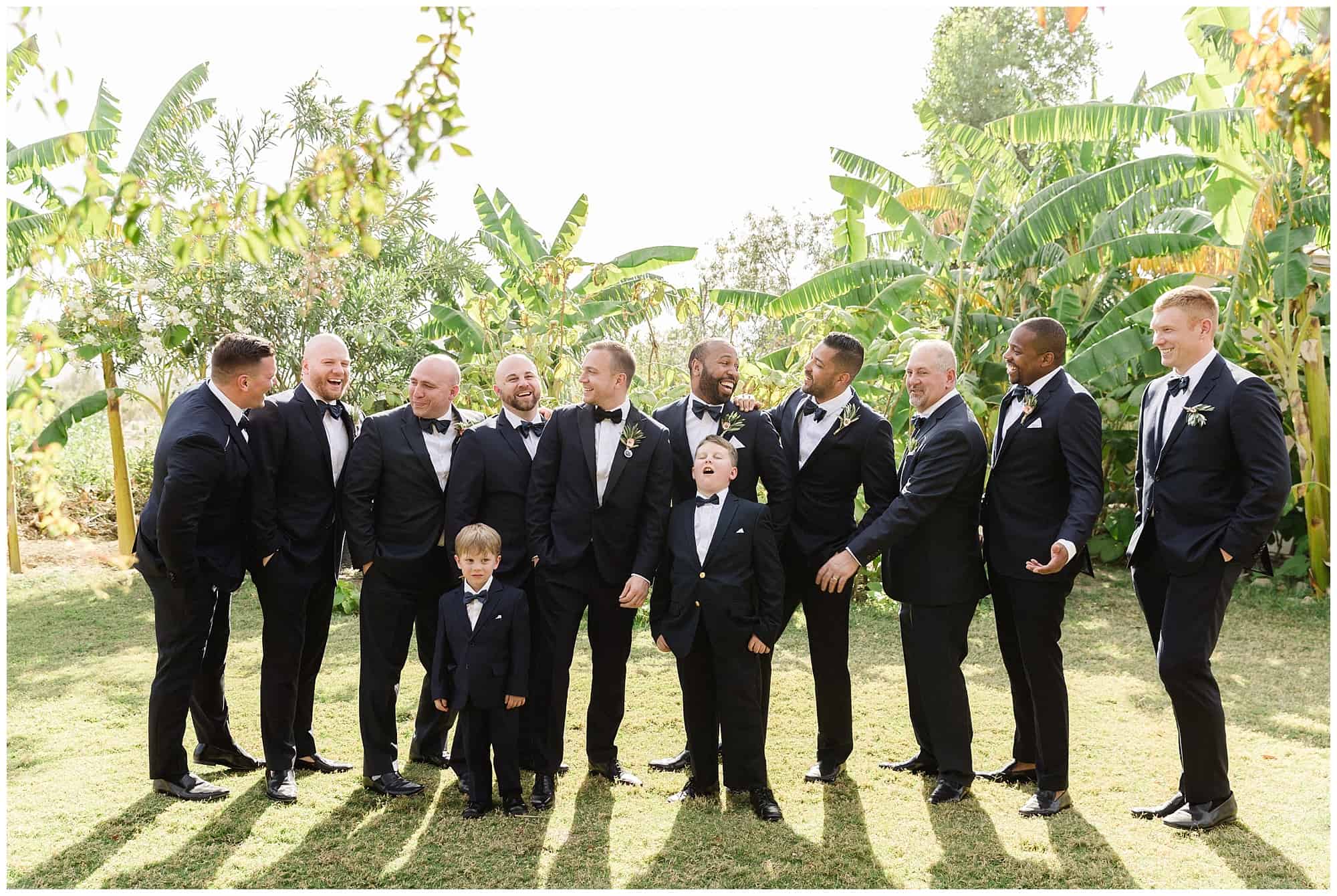 ?pp route=%2Fimage resize&path=%3DcGcq5CNxADMfRjMtATMtcTMwIzL0N3bw1SMxEDNtQjMvATMvcTMwIjf&width=768 - Cabo Farm Wedding - Perla & Jared
