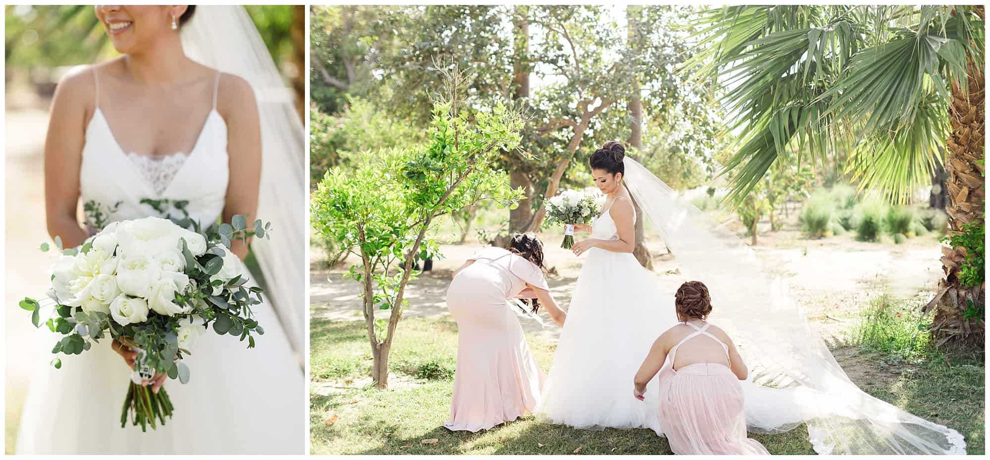 ?pp route=%2Fimage resize&path=%3DcGcq5SNxADMfRjMtATMtcTMwIzL0N3bw1SMxEDNtQjMvATMvcTMwIjf&width=768 - Cabo Farm Wedding - Perla & Jared