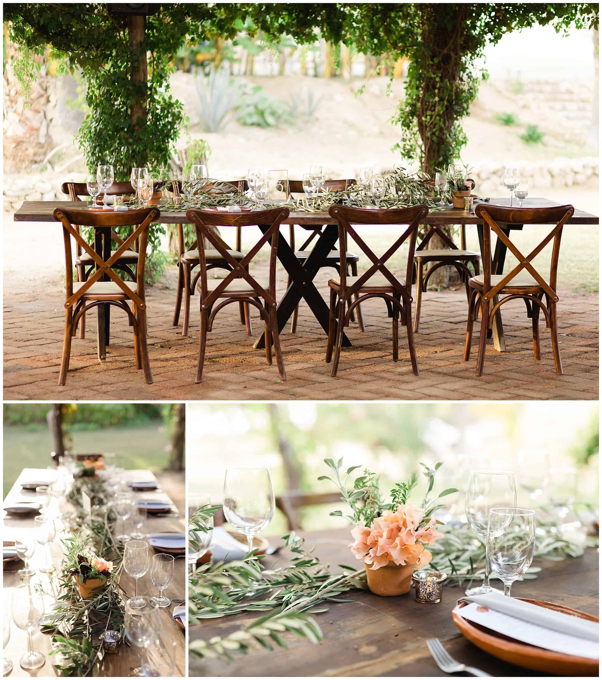 ?pp route=%2Fimage resize&path=%3DcGcq5iMyADMfRjMtATMtcTMwIzL0N3bw1SMxEDNtQjMvATMvcTMwIjf&width=768 - Cabo Farm Wedding - Perla & Jared