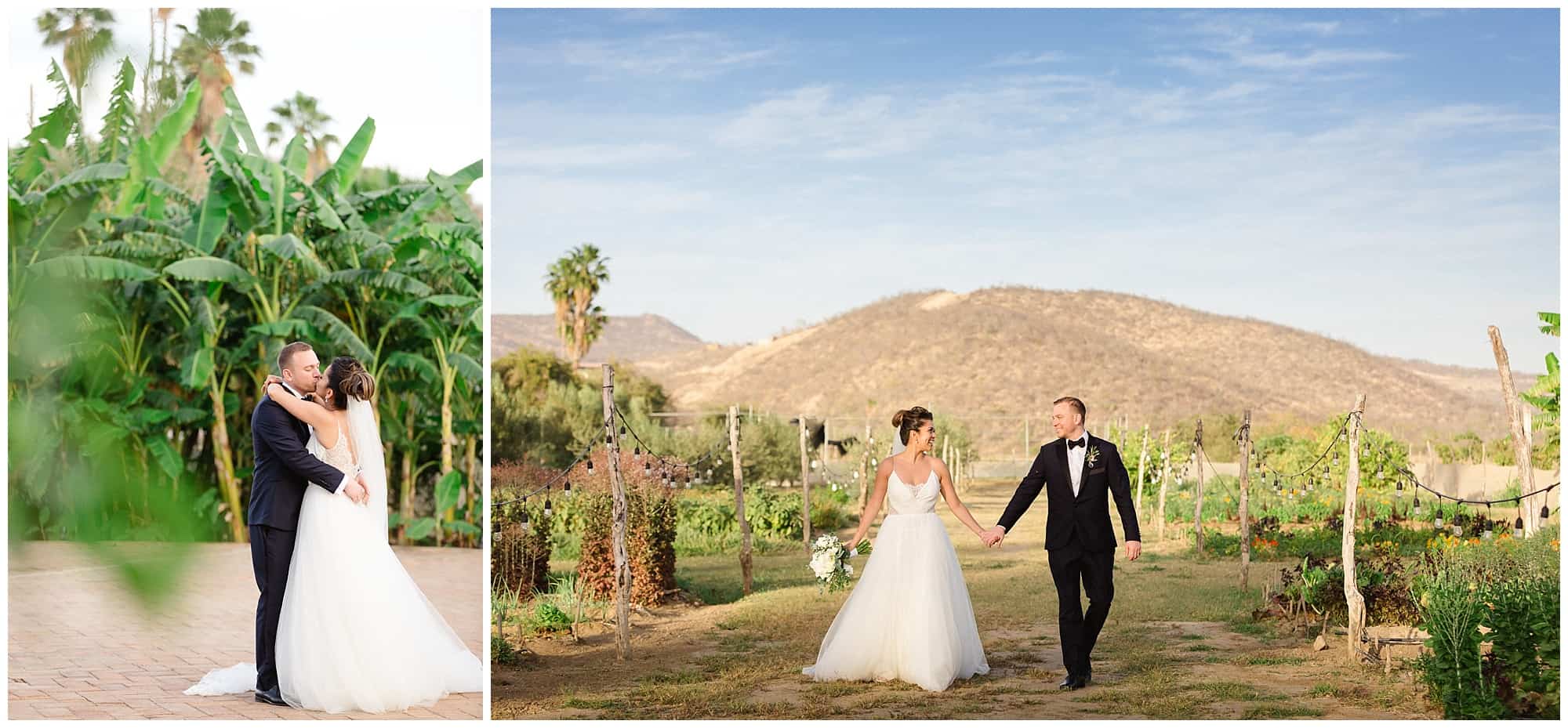 ?pp route=%2Fimage resize&path=%3DcGcq5iMzADMfRjMtATMtcTMwIzL0N3bw1SMxEDNtQjMvATMvcTMwIjf&width=768 - Cabo Farm Wedding - Perla & Jared