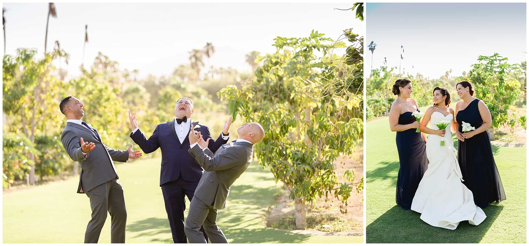 ?pp route=%2Fimage resize&path=%3DcGcq5yMxADMfhDMtYDMtgTMwIzL0N3bw1iM1QTNtgDMvEDMvgTMwIjf&width=768 - Flora Farms wedding: Alejandra & Roger